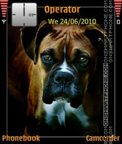Dog tema screenshot