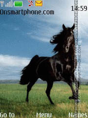 Скриншот темы Black Horse
