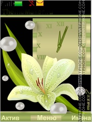 Скриншот темы Flowers and pearls