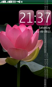 Beauty of a lotus theme screenshot