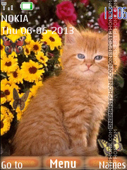 Capture d'écran Ginger kitten thème