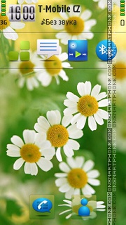 Spring Flowers 12 theme screenshot