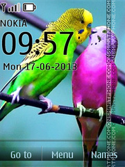 Loving Parrots tema screenshot