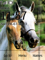 Horses 08 theme screenshot