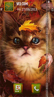 Скриншот темы Cat and autumn