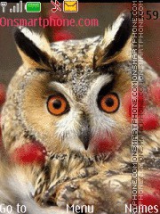 Capture d'écran Owl thème