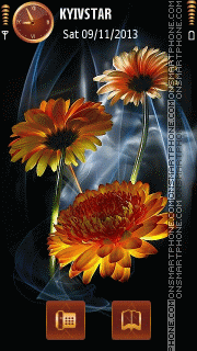 Orange Flowers theme screenshot