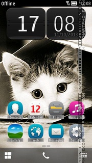 Cat Inside the box theme screenshot