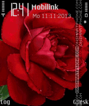 Scarlet rose theme screenshot