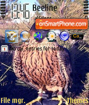 Falcons theme screenshot