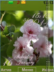Bright colors of spring Theme-Screenshot
