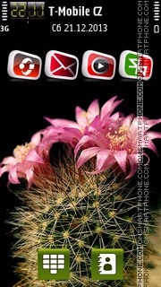 Cactus Flower es el tema de pantalla