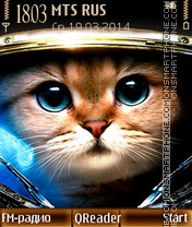 Space-Cat theme screenshot