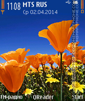Spring Field theme screenshot
