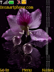 Скриншот темы Purple flower