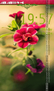 Macro Spring Flower tema screenshot