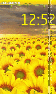 Скриншот темы Sunflower Field