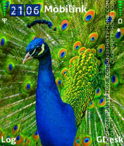 Peacock2 theme screenshot