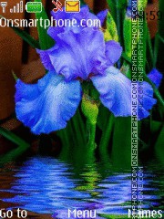 Blue Iris tema screenshot