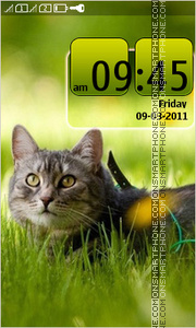 Cat in Grass tema screenshot