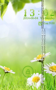 Daisies theme screenshot