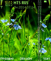 Capture d'écran Grass+ thème