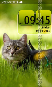 Cat in Grass 01 tema screenshot