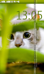 Capture d'écran Cat Hiding In Green thème