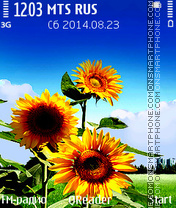 Capture d'écran Sunflower thème