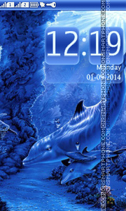 Dolphins Life theme screenshot