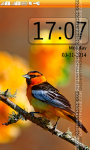 Spring Bird theme screenshot