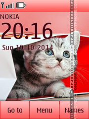 Kitten in Box tema screenshot