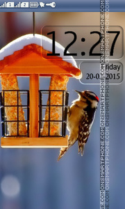 Скриншот темы Winter Bird House