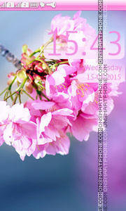 Cherry Blossom tema screenshot
