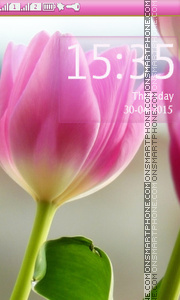 Скриншот темы Tulips in Spring