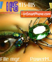 Capture d'écran Emerald Bug thème