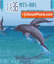 Capture d'écran Animated Dolphins thème