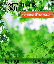 Capture d'écran Green 03 thème