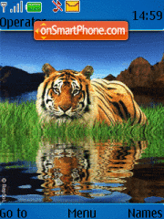 Скриншот темы Tiger Animated