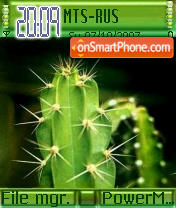 Capture d'écran Cactus thème