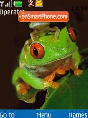 Red Eye Frog es el tema de pantalla
