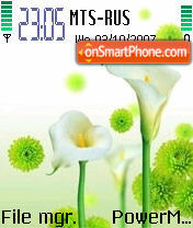 Green White Flower es el tema de pantalla