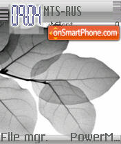 Leaf Theme-Screenshot