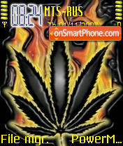 Cannabis On Fire Theme-Screenshot