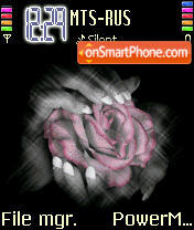 Скриншот темы Rose Colors Animated