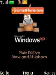 Capture d'écran Windows Xp Funny thème