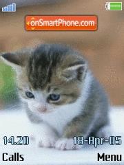 Kitten Cute theme screenshot