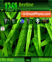 Capture d'écran Grass Vista thème