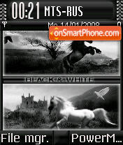 Capture d'écran Black&White thème