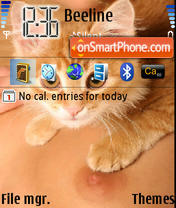 Скриншот темы Cat